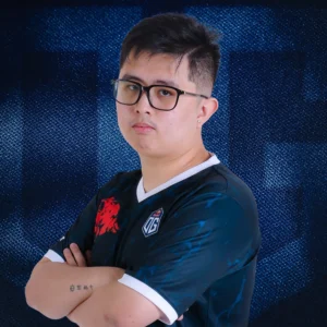 Timsdota
